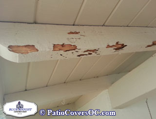 Dry Rot Repair Irvine with Blue Knight .
