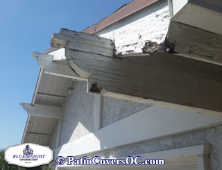 Dry Rot Repair Irvine with Blue Knight .