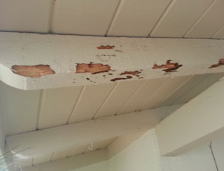 Termites and Dry Rot Irvine with Blue Knight Termite Control and Construction, Termite Damaged wood
